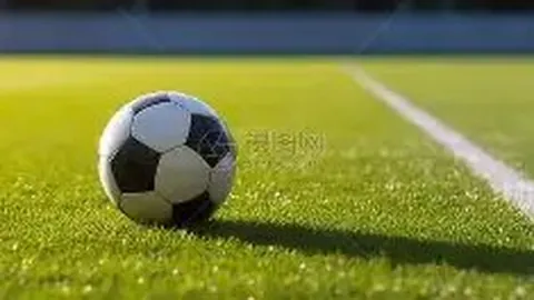 湖南体彩网 资讯 110700 ygw