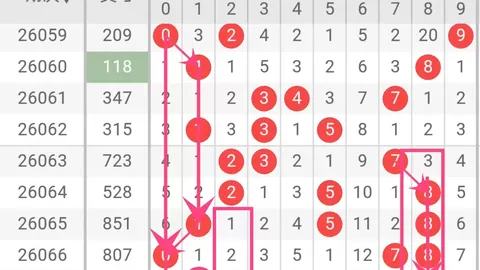 福彩3D第2026051期：专家推荐关注百位重号及6号
