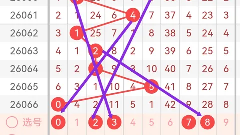 双色球26021期红球5胆推荐：军师精准分析共享策略